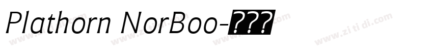 Plathorn NorBoo字体转换